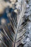 Brian Yungblut Photography Fine Art Print