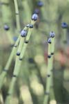 Brian Yungblut Photography Fine Art Print